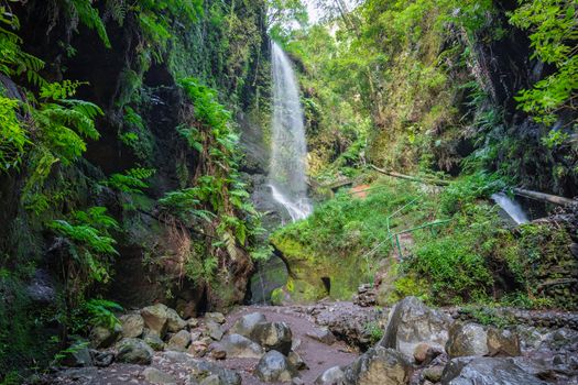 Waterfall at Los Tilos, La Palma, Canary Islands (Spain)