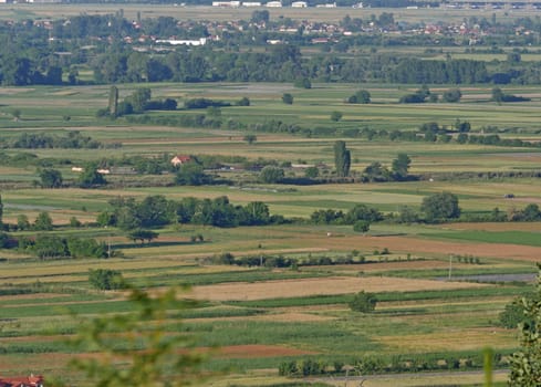 green field, aerial shot from the drone