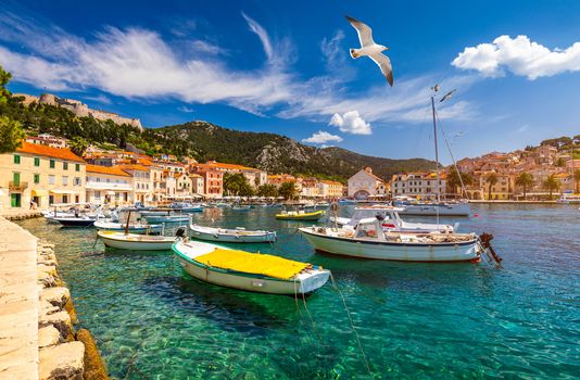 Hvar town with seagull's flying over city, famous luxury travel destination in Croatia. Boats on Hvar island, one of the many Islands near Dubrovnik and Korcula on the Dalmatian Coast of Croatia.