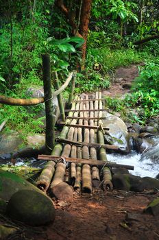 Old wooden bridge across the stream in the forest, Phu Soi Dao National Park, Thailand.