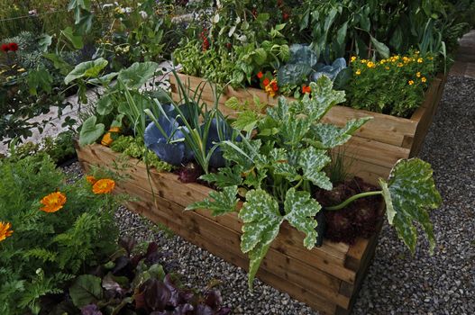 Raised vegetable wooden containers with selection of vegetables and flowers an allotment garden