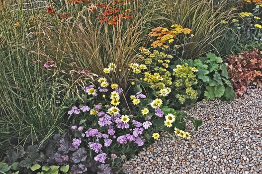 Colourful flower border with Helenium,  Anthemis,  Astilbes and assorted grasses in a country garden