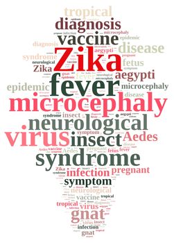 Illustration with word cloud on the Zika virus.