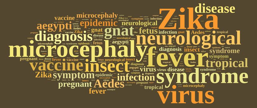 Illustration with word cloud on the Zika virus.