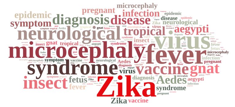 Illustration with word cloud on the Zika virus.