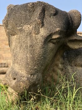 Beautiful view of Nandhi face sculpture at Brihadeeswar temple