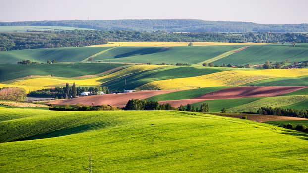Endless Green Fields, Rolling Hills, Tractor Tracks, Spring Landscape under Blue Sky. South Moravia, Czech Republic