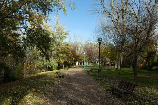 Parque Ribera De Castilla in autumn, Valladolid, Spain