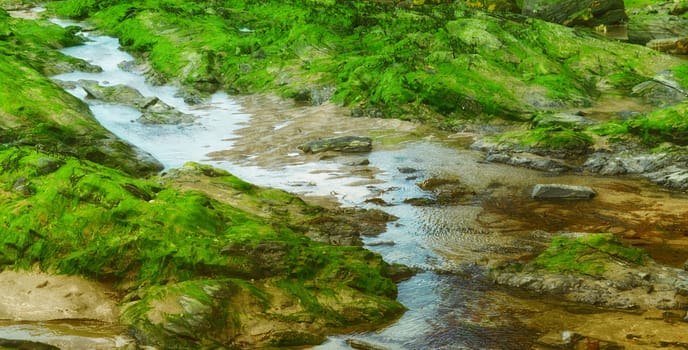 Both Panoramic and some more detailed images of beautiful Coastal scenes.