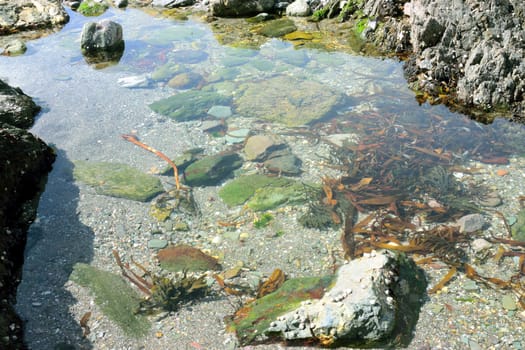 Both Panoramic and some more detailed images of beautiful Coastal scenes.