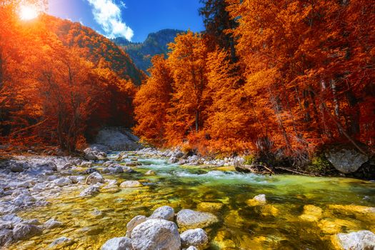 Beautiful colorful autumn landscape with a stream and forest in toned colors. The river in autumn forest and the sun shining through the foliage. Autumn nature landscape. Bohinj, Slovenia