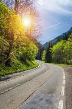 Asphalt road in Austria through the forest, valley in Austria in a beautiful summer day. Alps mountains tranquil summer view (Austria)
