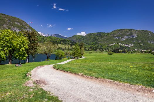 Landscape view of one wooden rural cottage on green meadow surrounded with green forest. Summer in Bohinj, Stara Fuzina, Slovenia,Europe.