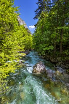 Mountain wild river landscape. River valley in mountains. Wild mountain river panorama. Small waterfall in forest stream. Long exposure. Fast water stream in mountain river with coniferous forest