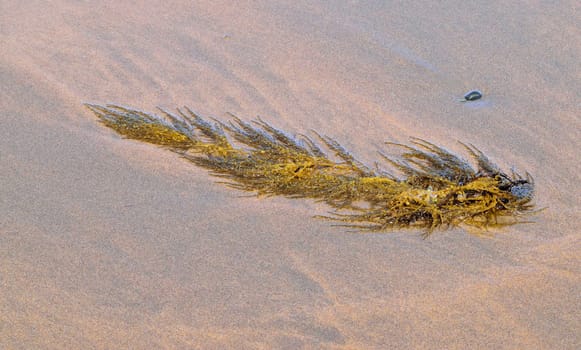 Both Panoramic and some more detailed images of beautiful Coastal scenes.