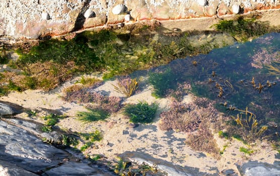 Both Panoramic and some more detailed images of beautiful Coastal scenes.