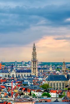 An aerial view of Antwerp, Belgium at sunset.