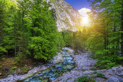 Mountain wild river landscape. River valley in mountains. Wild mountain river panorama. Small waterfall in forest stream. Long exposure. Fast water stream in mountain river with coniferous forest