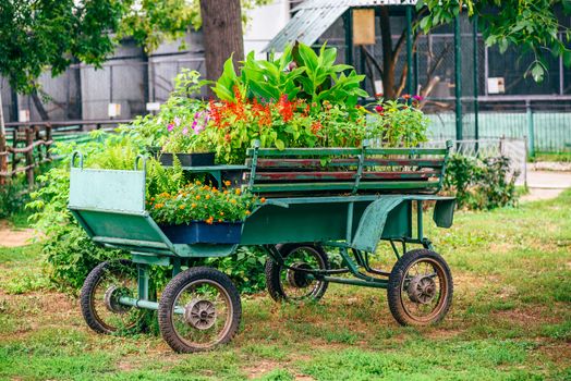 Old green wagon full of flowers on a farm