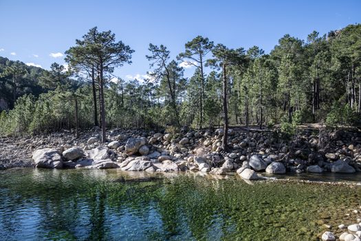 Pure and fresh water River and natural pool in the forest of Corsica, France, Europe (River Solenzara)