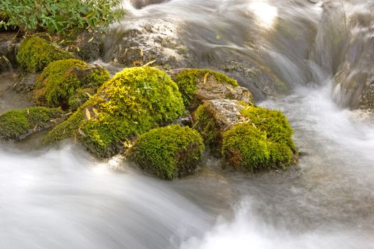 Forest stream running over mossy rocks