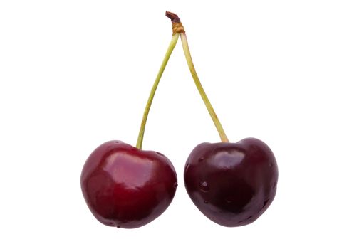 Two fresh cherries still attached to their stem. Clipping path included.