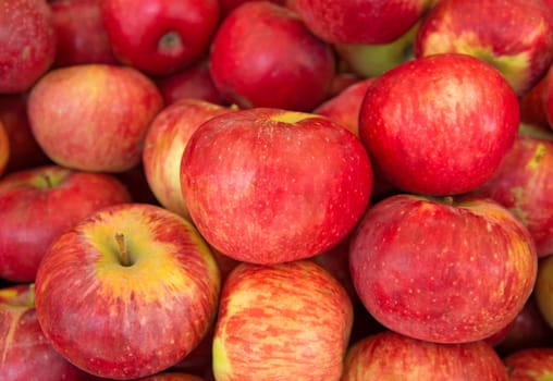 Lots of Red ripe apples background