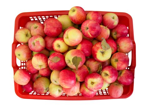 Fresh red apples in basket isolated on white. Clipping path included.