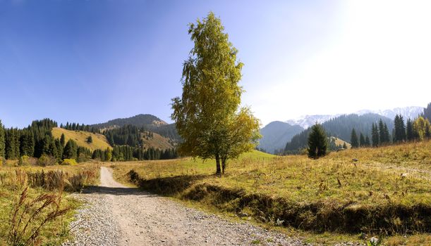 Panorama view of beautiful mountains landscape in alps