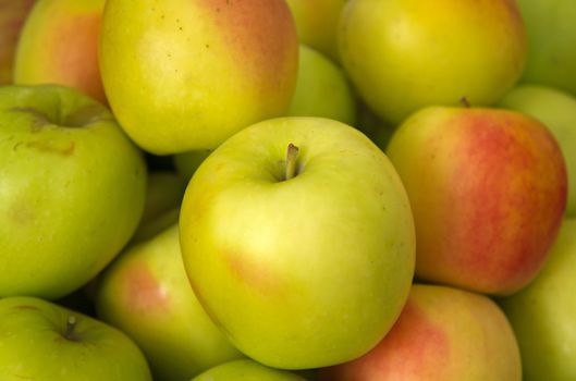 Lots of Green ripe apples