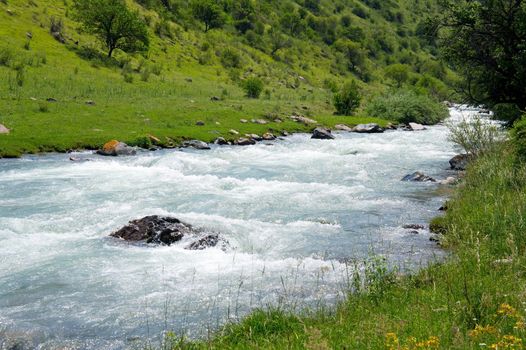 Mountain's River in the Alps. Forest stream running over rocks.