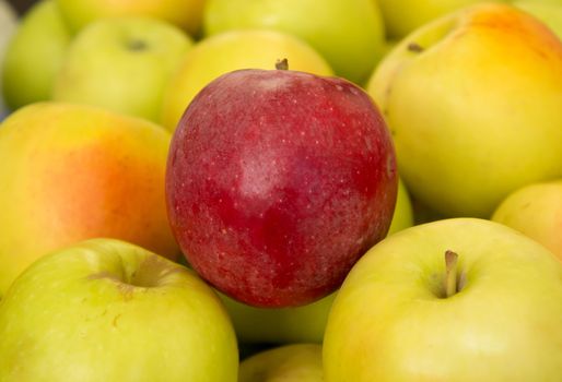 Red apple between yellow-green apples on the street market