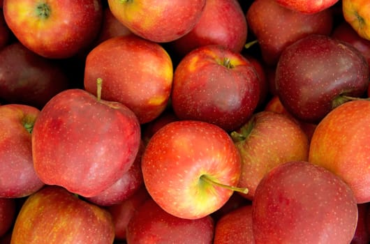 Lots of Red ripe apples background.