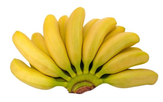 Bunch of mini bananas isolated on white background. Clipping Path included.