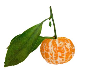 Peeled tangerine isolated over white. Clipping path included.