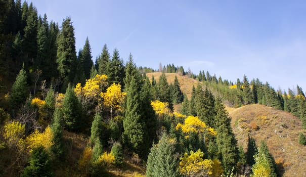 Panorama view of beautiful mountains landscape in alps