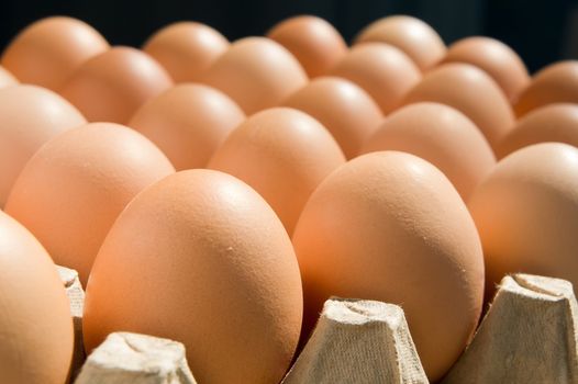 Close up of  brown eggs in the special carrying box.