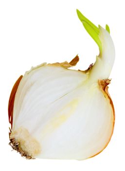 Onions cut in half.  Half of onion sprouting isolated on white background. Clipping path.