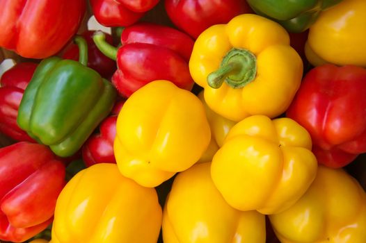 Red, green and yellow sweet bell peppers natural background.