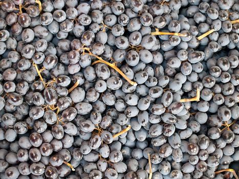 Background of freshly picked muscat grapes.