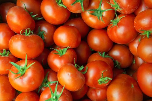 A lot of fresh red tomatoes closeup background.