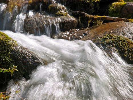 Forest stream running over mossy rocks in Alps