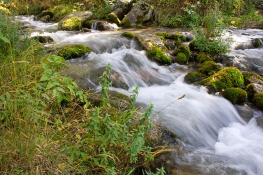 Forest stream running over mossy rocks in Alps