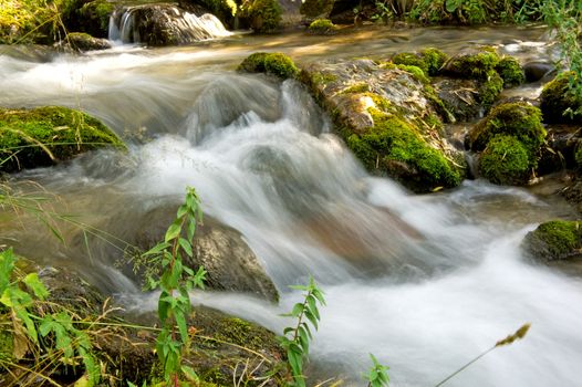 Forest stream running over mossy rocks in Alps mountains
