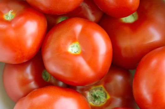 Organically grown of fresh red tomatoes background 
