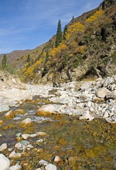 View of beautiful mountains and river landscape in Alps