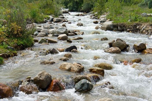 Mountain's River in the Alps. Forest stream running over rocks.