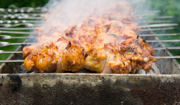 Shashlik (shish kebab) - traditional georgian barbecue prepared on a vine wood coal.