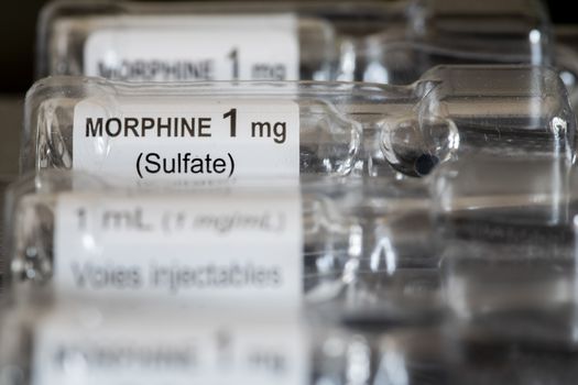 Close-up of MORPHINE SULFATE 1 MG/ML VIAL for injections or infusion