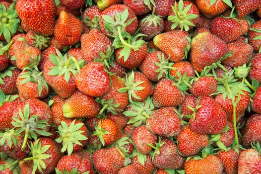 Fresh Ripe Strawberries closeup Full Frame Background.